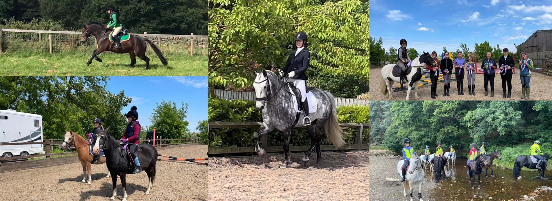 Sheffield Equestrian Centre