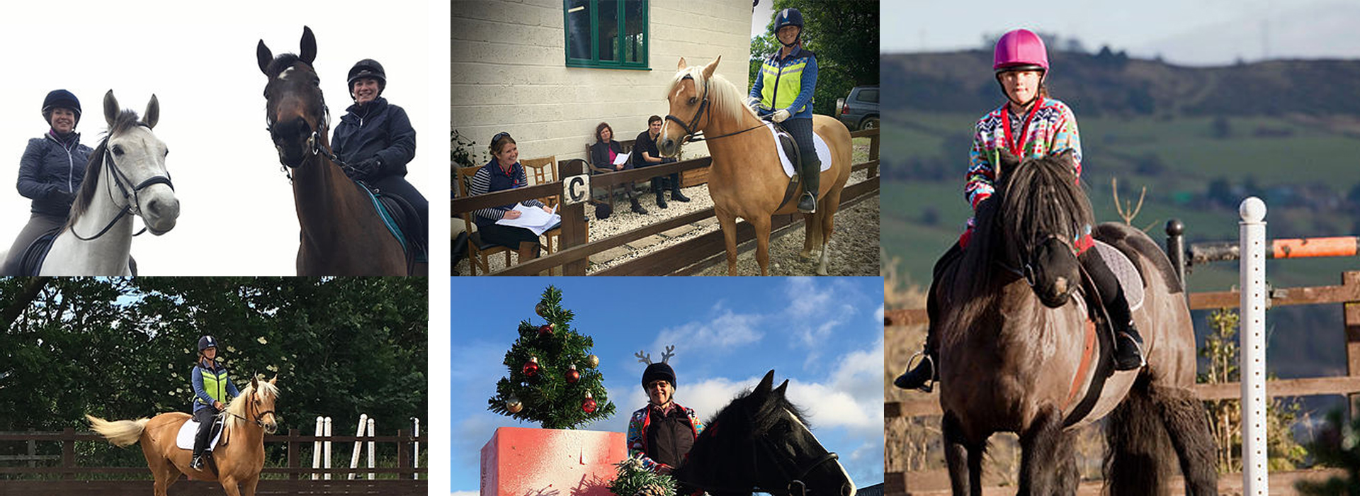 Sheffield Equestrian Centre